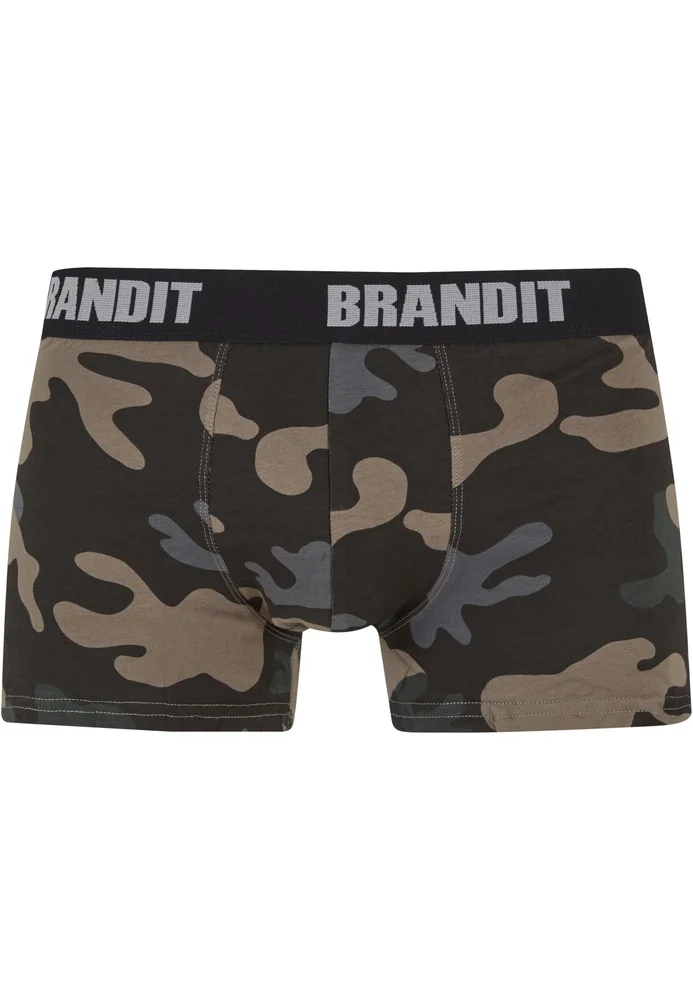 Boxershorts Logo 2-Pack